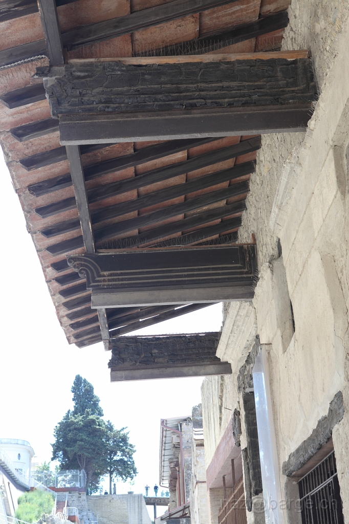 EOS 5D Mark II04_05_20121775.JPG